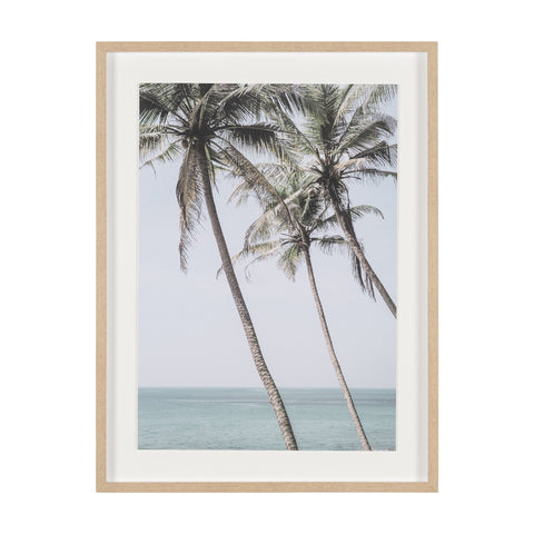 Framed Art - Palms I