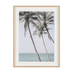 Framed Art - Palms I