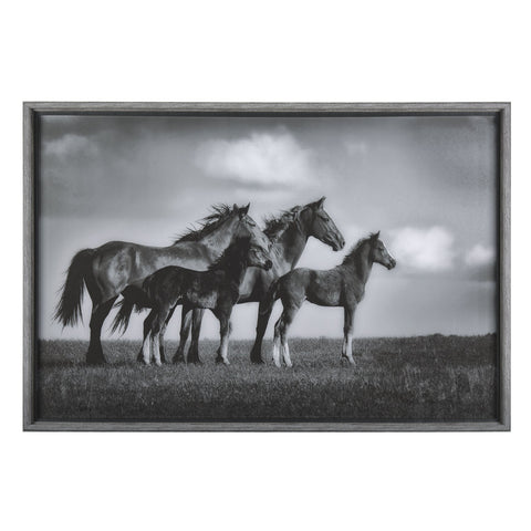 Framed Art - Proud