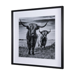 Framed Art - Highlanders