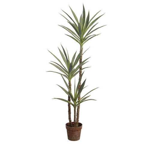 59" Yucca Tree