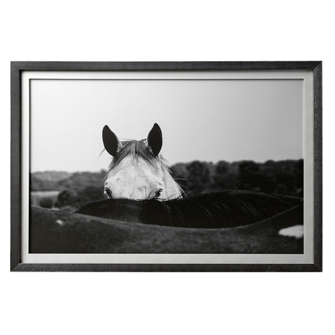 Flirt - Framed Art