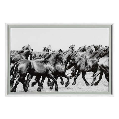 Framed Art - Black Beauties