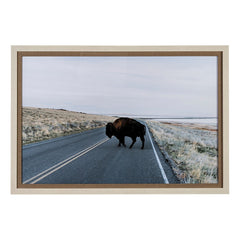 Framed Art - Buffalo Crossing