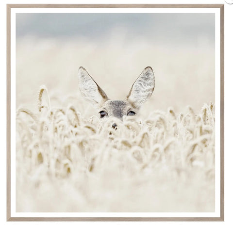 Framed Art - Hello