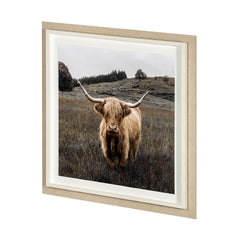 Framed Art - Highlander