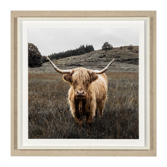 Framed Art - Highlander