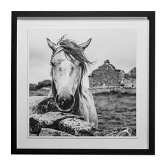 Framed Art - Irish Beauty