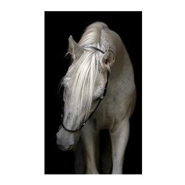 Prince Gallery Art