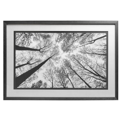 Framed Art - Upward