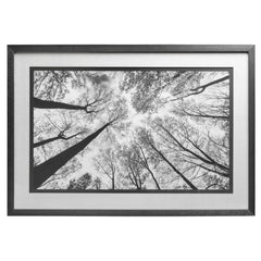 Framed Art - Upward