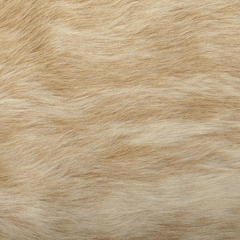 Large Rawhide - Brindle Beige