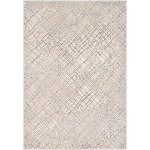 Tibetan Medium Grey Area Rug