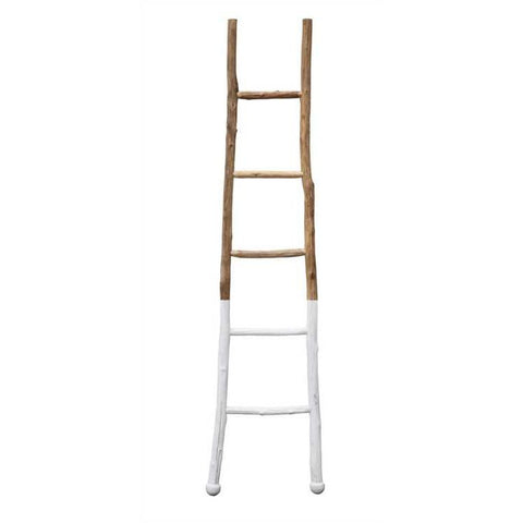 Half Painted Ladder